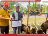 Serah Terima Hewan Kurban Disperakim Kabupaten Klaten