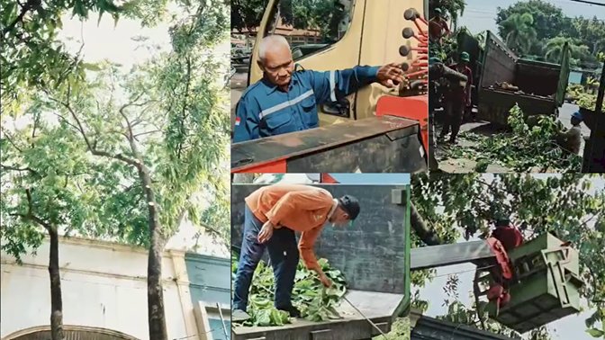 Penataan dan Pemeliharaan Vegetasi Area Fasilitas Umum Gedung Sunan Pandanaran
